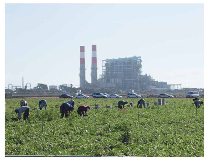 Image of workers working in a field